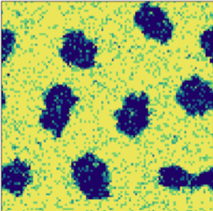 Actu ILM cells